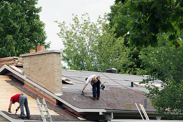 Best Roof Gutter Cleaning  in Occoquan, VA